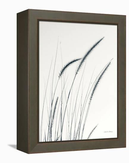 Field Grasses III-Debra Van Swearingen-Framed Premier Image Canvas