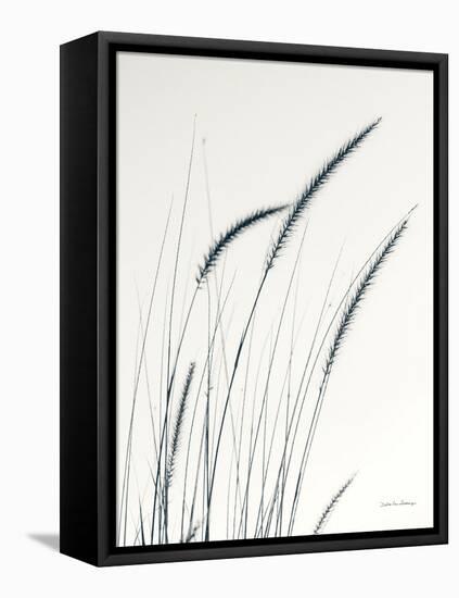 Field Grasses III-Debra Van Swearingen-Framed Premier Image Canvas