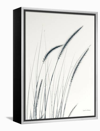 Field Grasses III-Debra Van Swearingen-Framed Premier Image Canvas