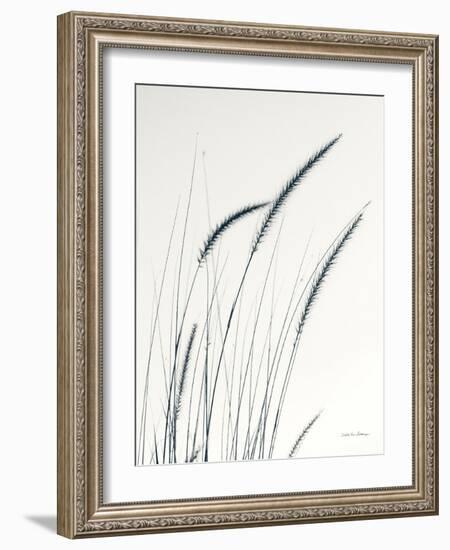 Field Grasses III-Debra Van Swearingen-Framed Photographic Print