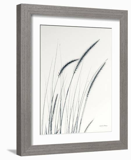 Field Grasses III-Debra Van Swearingen-Framed Photographic Print