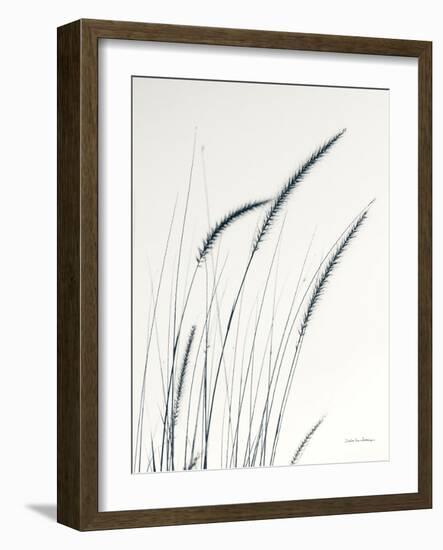 Field Grasses III-Debra Van Swearingen-Framed Photographic Print