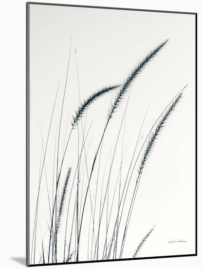 Field Grasses III-Debra Van Swearingen-Mounted Photographic Print