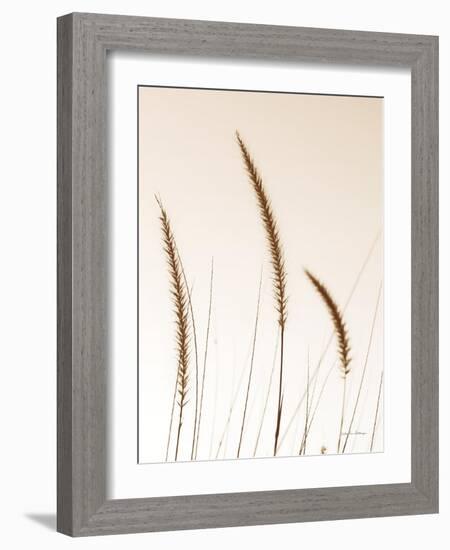 Field Grasses IV Sepia-Debra Van Swearingen-Framed Photographic Print