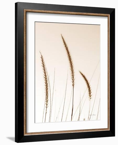 Field Grasses IV Sepia-Debra Van Swearingen-Framed Photographic Print