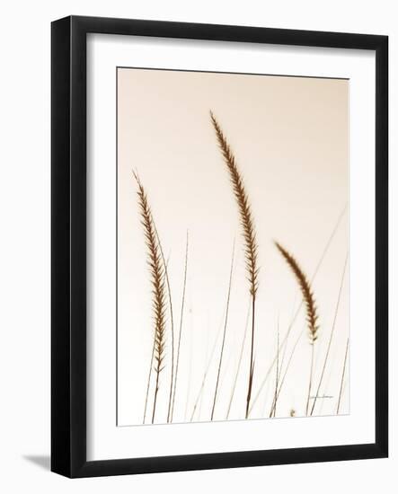 Field Grasses IV Sepia-Debra Van Swearingen-Framed Photographic Print