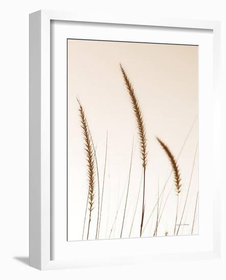 Field Grasses IV Sepia-Debra Van Swearingen-Framed Photographic Print