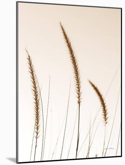 Field Grasses IV Sepia-Debra Van Swearingen-Mounted Photographic Print