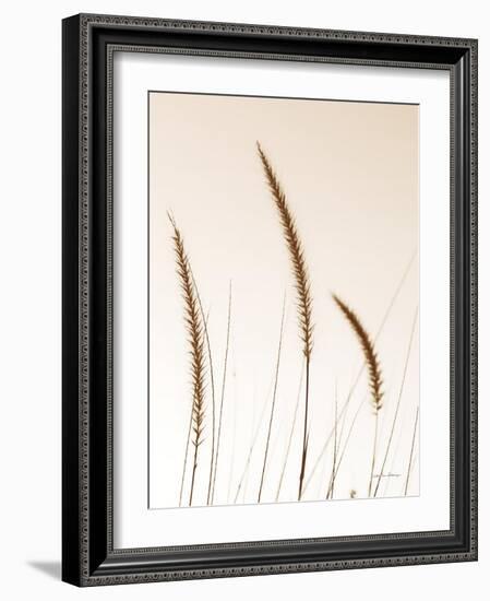 Field Grasses IV Sepia-Debra Van Swearingen-Framed Photographic Print