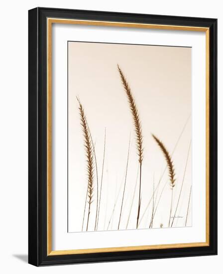 Field Grasses IV Sepia-Debra Van Swearingen-Framed Photographic Print