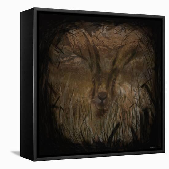 Field Hare-Tim Kahane-Framed Premier Image Canvas