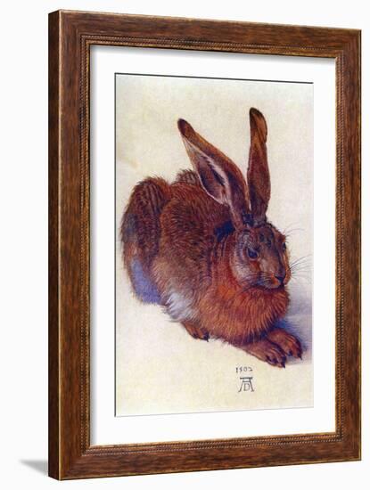 Field Hare-Albrecht Dürer-Framed Art Print