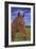 Field Horse-Karie-Ann Cooper-Framed Giclee Print