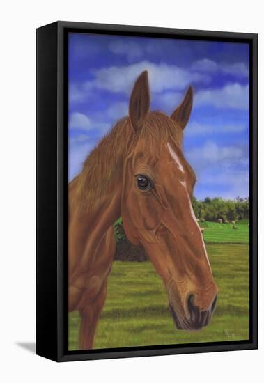 Field Horse-Karie-Ann Cooper-Framed Premier Image Canvas