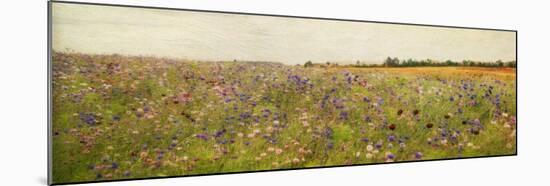 Field I - Mini-Amy Melious-Mounted Art Print