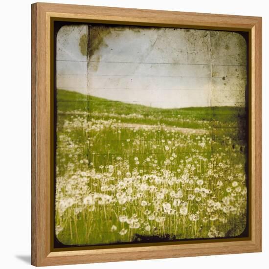 Field I-Ingrid Blixt-Framed Stretched Canvas