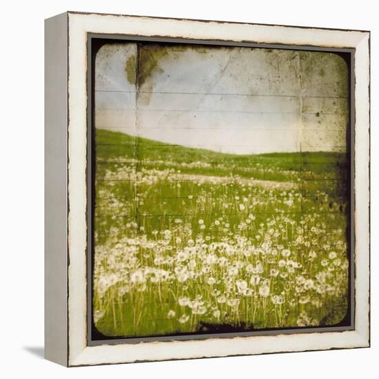 Field I-Ingrid Blixt-Framed Stretched Canvas