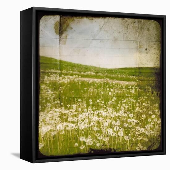 Field I-Ingrid Blixt-Framed Stretched Canvas