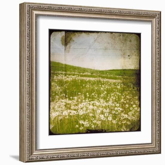 Field I-Ingrid Blixt-Framed Art Print