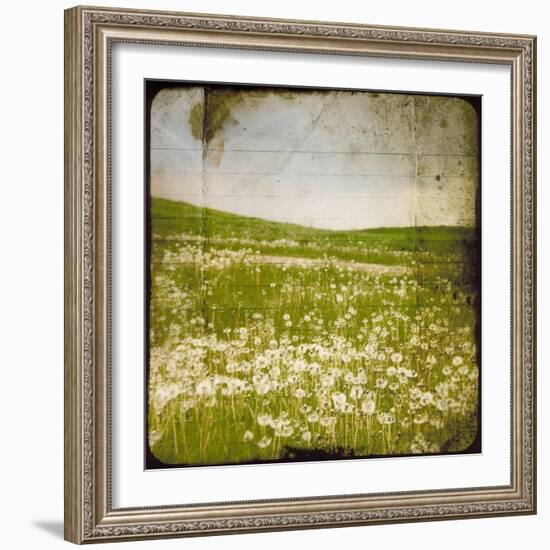 Field I-Ingrid Blixt-Framed Art Print
