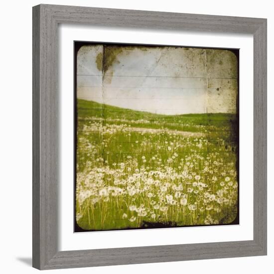 Field I-Ingrid Blixt-Framed Art Print