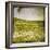 Field I-Ingrid Blixt-Framed Art Print