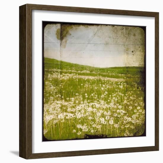 Field I-Ingrid Blixt-Framed Art Print