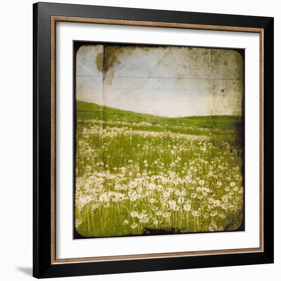 Field I-Ingrid Blixt-Framed Art Print