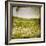 Field I-Ingrid Blixt-Framed Art Print