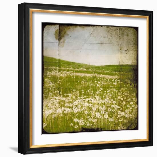 Field I-Ingrid Blixt-Framed Art Print