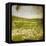 Field I-Ingrid Blixt-Framed Stretched Canvas