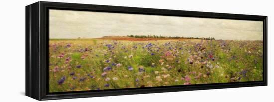 Field II - Mini-Amy Melious-Framed Stretched Canvas