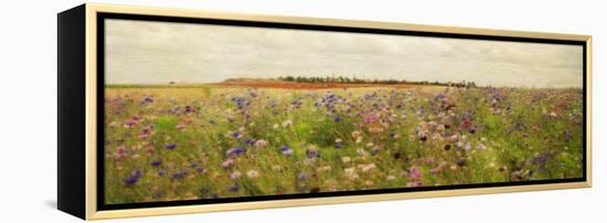 Field II - Mini-Amy Melious-Framed Stretched Canvas