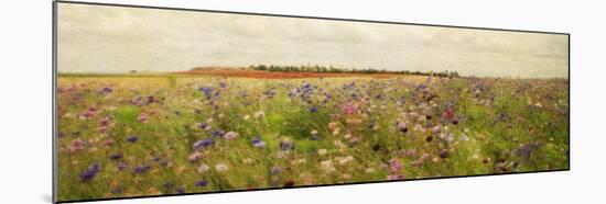 Field II - Mini-Amy Melious-Mounted Art Print