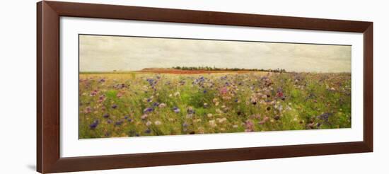 Field II - Mini-Amy Melious-Framed Art Print