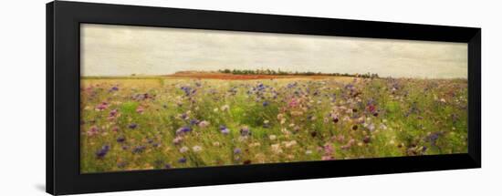 Field II - Mini-Amy Melious-Framed Art Print