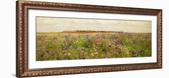 Field II - Mini-Amy Melious-Framed Art Print