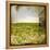 Field II-Ingrid Blixt-Framed Stretched Canvas