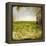 Field II-Ingrid Blixt-Framed Stretched Canvas