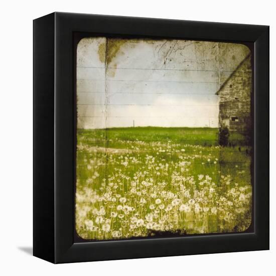 Field II-Ingrid Blixt-Framed Stretched Canvas