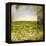 Field II-Ingrid Blixt-Framed Stretched Canvas