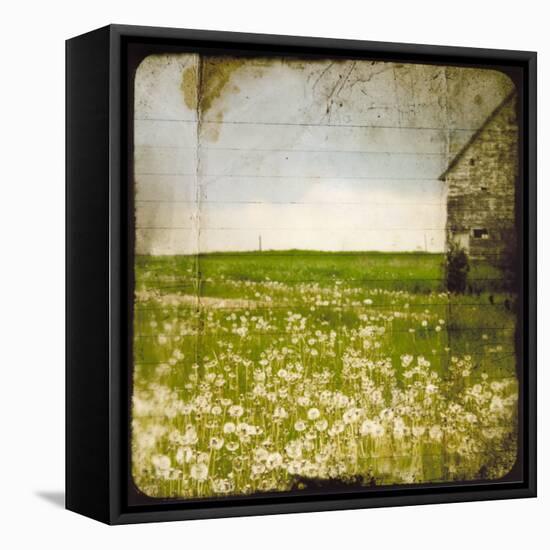 Field II-Ingrid Blixt-Framed Stretched Canvas