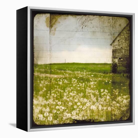 Field II-Ingrid Blixt-Framed Stretched Canvas