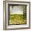 Field II-Ingrid Blixt-Framed Art Print