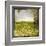 Field II-Ingrid Blixt-Framed Art Print