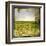 Field II-Ingrid Blixt-Framed Art Print