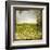 Field II-Ingrid Blixt-Framed Art Print