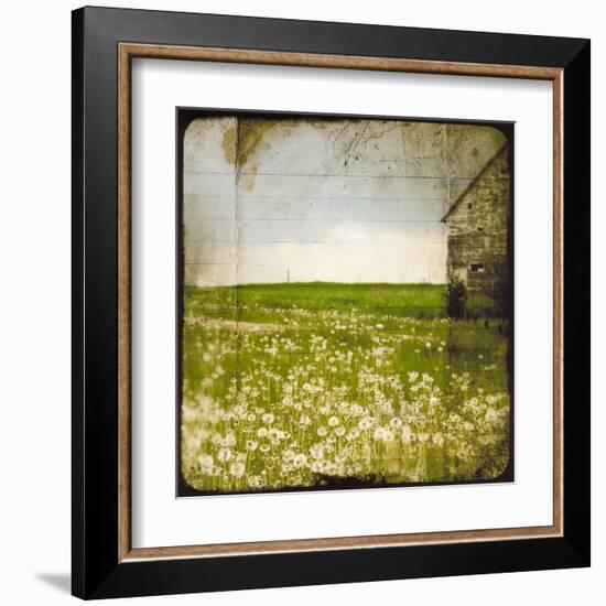 Field II-Ingrid Blixt-Framed Art Print