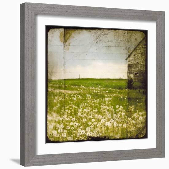 Field II-Ingrid Blixt-Framed Art Print