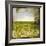 Field II-Ingrid Blixt-Framed Art Print